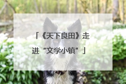 《天下良田》走进“文学小镇”