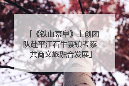 《铁血幕阜》主创团队赴平江石牛寨镇考察 共商文旅融合发展