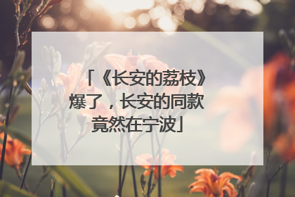 《长安的荔枝》爆了，长安的同款竟然在宁波