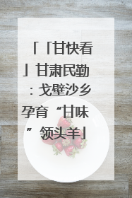 「甘快看」甘肃民勤：戈壁沙乡孕育“甘味”领头羊