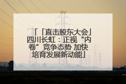 「直击股东大会」四川长虹：正视“内卷”竞争态势 加快培育发展新动能