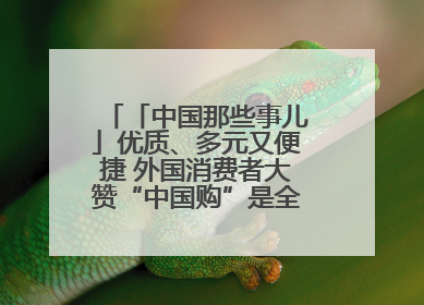 「中国那些事儿」优质、多元又便捷 外国消费者大赞“中国购”是全新体验！
