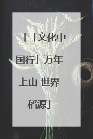 「文化中国行」万年上山 世界稻源