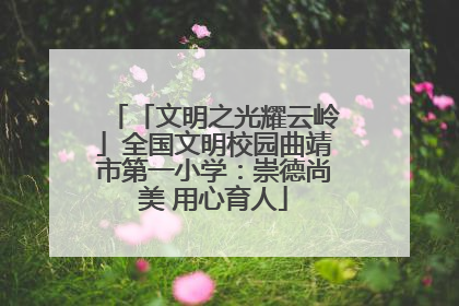 「文明之光耀云岭」全国文明校园曲靖市第一小学：崇德尚美 用心育人