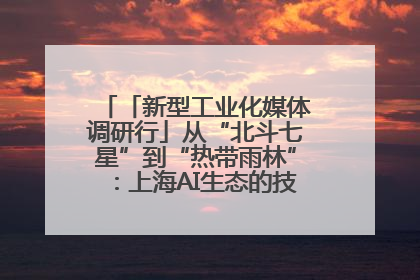 「新型工业化媒体调研行」从“北斗七星”到“热带雨林”：上海AI生态的技术商业共生密码