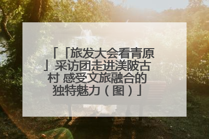 「旅发大会看青原」采访团走进渼陂古村 感受文旅融合的独特魅力（图）