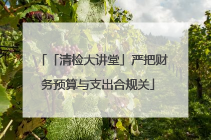 「清检大讲堂」严把财务预算与支出合规关