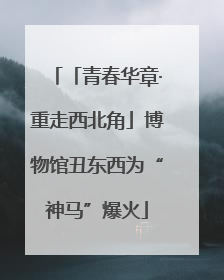 「青春华章·重走西北角」博物馆丑东西为“神马”爆火