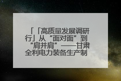 「高质量发展调研行」从“面对面”到“肩并肩”——甘肃全利电力装备生产制造项目一线见闻