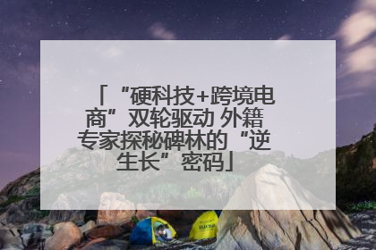“硬科技+跨境电商”双轮驱动 外籍专家探秘碑林的“逆生长”密码