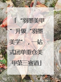 “羽墨美甲”升级“羽墨美学”，一站式团单重仓美甲第三赛道