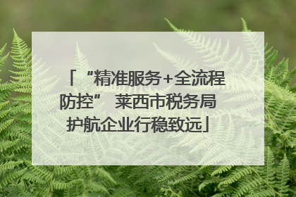 “精准服务+全流程防控” 莱西市税务局护航企业行稳致远