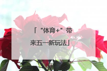 “体育+”带来五一新玩法