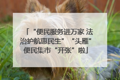 “便民服务进万家 法治护航惠民生”“头雁”便民集市“开张”啦