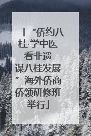 “侨约八桂·学中医 看非遗 谋八桂发展”海外侨商侨领研修班举行