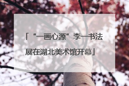 “一画心源”李一书法展在湖北美术馆开幕