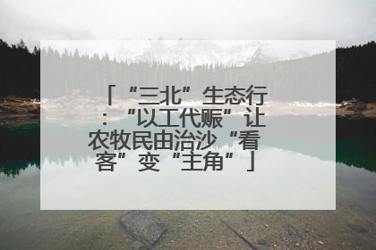 “三北”生态行：“以工代赈”让农牧民由治沙“看客”变“主角”