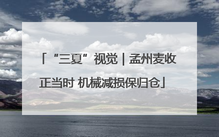“三夏”视觉｜孟州麦收正当时 机械减损保归仓