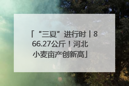 “三夏”进行时丨866.27公斤！河北小麦亩产创新高