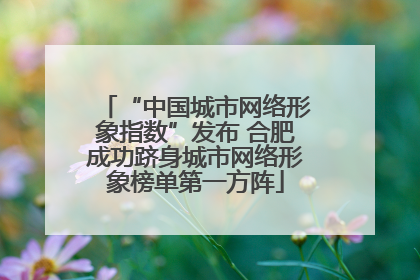“中国城市网络形象指数”发布 合肥成功跻身城市网络形象榜单第一方阵