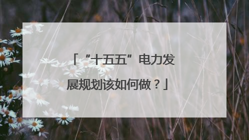 “十五五”电力发展规划该如何做？
