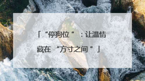 “停狗位 ”：让温情藏在 “方寸之间 ”