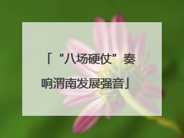 “八场硬仗”奏响渭南发展强音