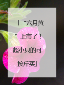 “六月黄”上市了！超小只的可按斤买