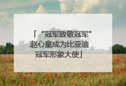 “冠军致敬冠军” 赵心童成为比亚迪冠军形象大使