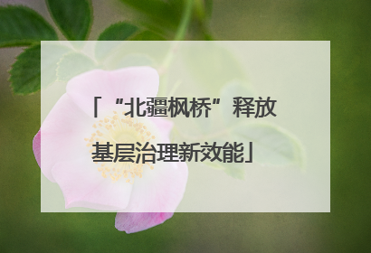 “北疆枫桥”释放基层治理新效能