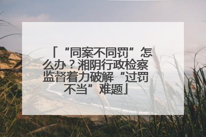 “同案不同罚”怎么办？湘阴行政检察监督着力破解“过罚不当”难题