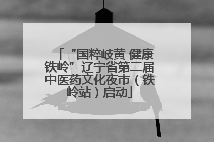 “国粹岐黄 健康铁岭”辽宁省第二届中医药文化夜市（铁岭站）启动