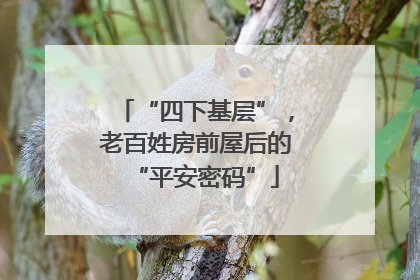 “四下基层”，老百姓房前屋后的“平安密码”