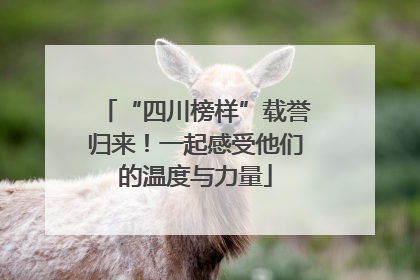 “四川榜样”载誉归来！一起感受他们的温度与力量