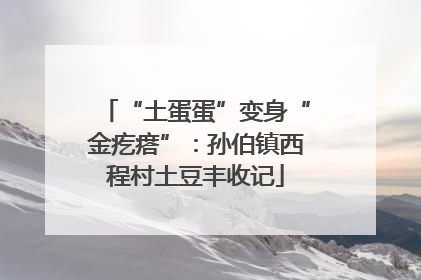 “土蛋蛋”变身“金疙瘩”：孙伯镇西程村土豆丰收记