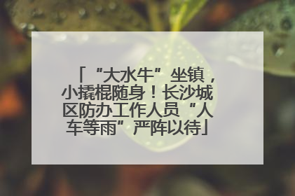 “大水牛”坐镇，小撬棍随身！长沙城区防办工作人员“人车等雨”严阵以待