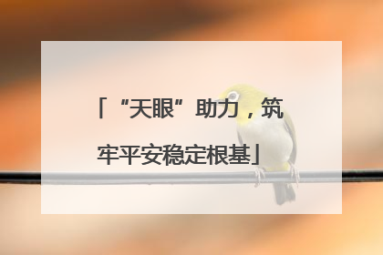 “天眼”助力，筑牢平安稳定根基