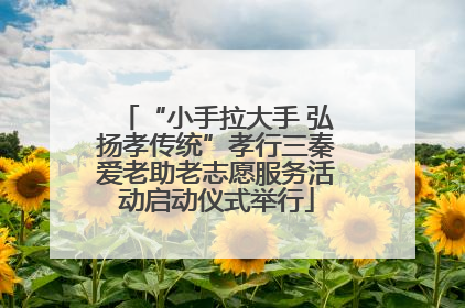 “小手拉大手 弘扬孝传统”孝行三秦爱老助老志愿服务活动启动仪式举行