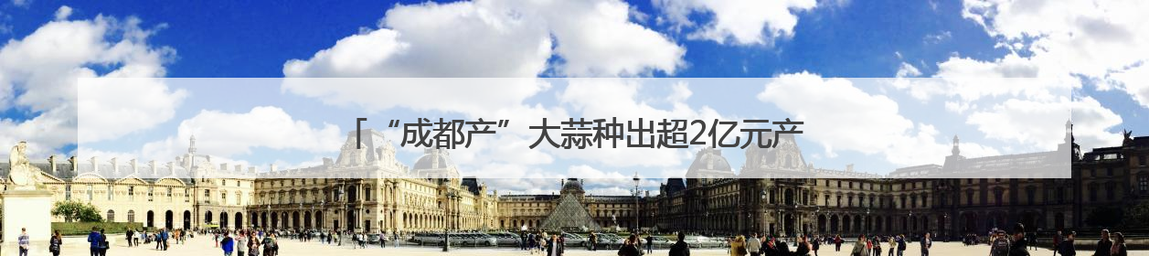“成都产”大蒜种出超2亿元产值，远销欧洲、非洲、东南亚