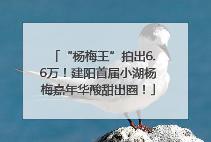 “杨梅王”拍出6.6万！建阳首届小湖杨梅嘉年华酸甜出圈！