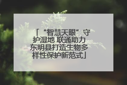 “智慧天眼”守护湿地 联通助力东明县打造生物多样性保护新范式