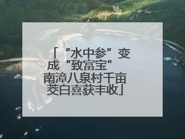 “水中参”变成“致富宝” 南漳八泉村千亩茭白喜获丰收