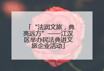 “法润文旅，典亮远方”——江汉区举办民法典进文旅企业活动