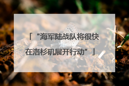 “海军陆战队将很快在洛杉矶展开行动”