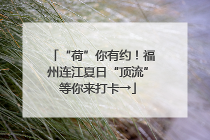 “荷”你有约！福州连江夏日“顶流”等你来打卡→
