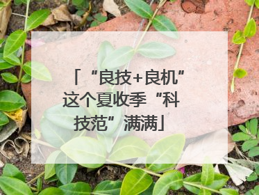 “良技+良机” 这个夏收季“科技范”满满