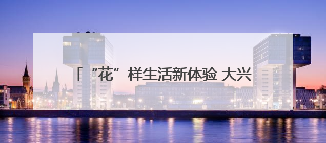 “花”样生活新体验 大兴区让市花月季走进日常生活
