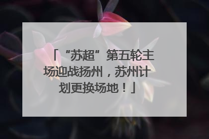 “苏超”第五轮主场迎战扬州，苏州计划更换场地！