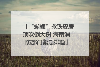 “蝴蝶”掀铁皮房顶吹倒大树 海南消防部门紧急排险