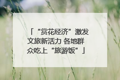 “赏花经济”激发文旅新活力 各地群众吃上“旅游饭”